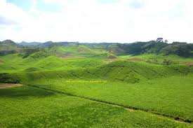 Hasil gambar untuk bukit