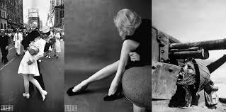 Image result for gunhild larking