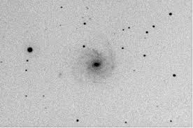 Image result for NGC 1232