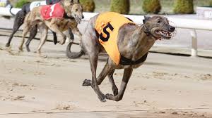 Racing Post - News update