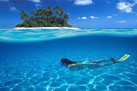 images?q=tbn:ANd9GcQUFNVSiUklzx85GleTLzQ3hY-A1frjdm_nYDrk3Fess_24uh4y