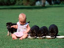    How Does Autism Support Dogs help Children