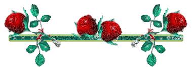 Imagini pentru Sangue di Gesu