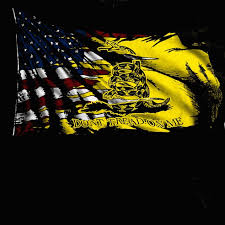 Image result for gadsden flag