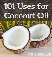 Image result for free images of coconuts and oil
