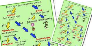 Image result for organisms and their environment