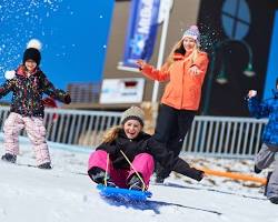 Image of Mt Buller Tobogganing