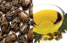 Image result for castor oil