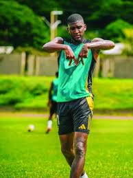 Damion Lowe’s experience to lead youthful squad