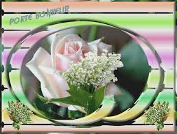 Résultat de recherche d'images pour "muguet porte bonheur"