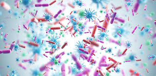 Expanding Horizons: The Microbiome Beyond the Gut - 1