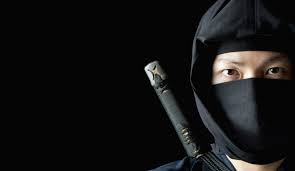 Hasil gambar untuk ninja