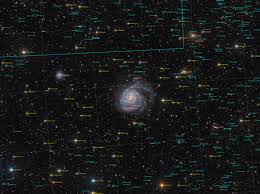 Image result for m101