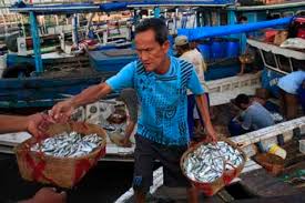 Hasil gambar untuk distribusi ikan