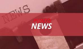 Calabria 7 - News update