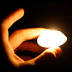 Swarthmore Community Remembers Fort Wayne Dead