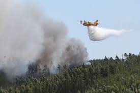 Fogo em Alvaiázere atingiu quintais e zonas de cultivo