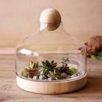 Glass Wood Terrarium, Large Gardener s Supply