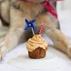 Story image for Liver Cake Recipes For Dogs from Mother Nature Network