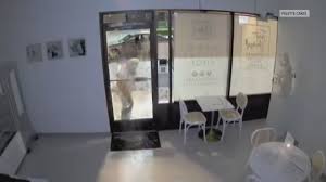 Bakery register stolen, significant damage reported after Carmichael break-in