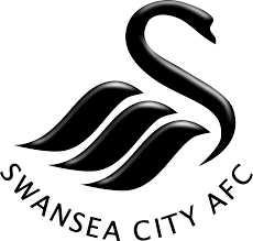 Image result for swansea city 2015