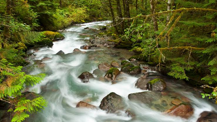 Trump administration moves to scrap Roadless Rule, potentially opening 2 million acres of Washington national forests to development; beloved hikes at risk