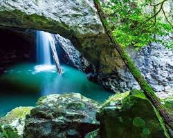 Springbrook National Park, Gold Coast的圖片