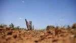 Drought crisis: Three provinces declared