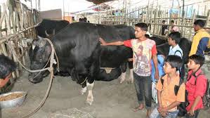 Image result for হাট বাজার নীতিমালা