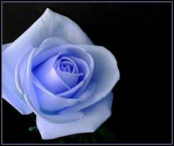 images?qtbnANd9GcQVVURE0Ffs sNrQtyRPW2h u7lRhSG8cCDvTB  ruDvBXFBOJh