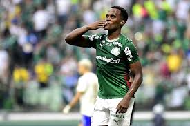 Cartola: Mapa da Mitada destaca ataque do Botafogo e meio do Palmeiras para a rodada #22
