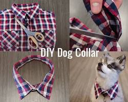 DIY pet collarの画像