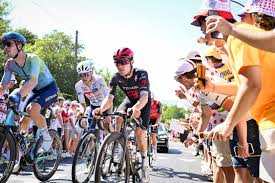 Bicisport - News update