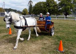 Image result for riding for the disabled