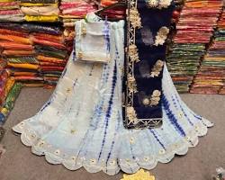 Image of Jaipuri lehenga choli with gota patti