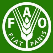 Resultado de imagen de FAO