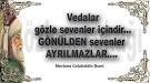 Hz. Mevln Sözleri on Twitter: Vedalar gözleri ile sevenler iindir