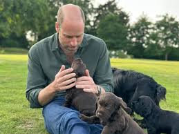 William and Kate introduce new royal dog: ‘Welcome to the family!’