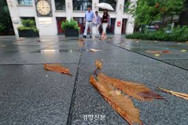 News source: ZUM 뉴스