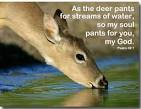 As the deer pants for the water 