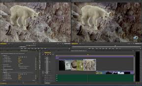 Resultado de imagem para Adobe Premiere Pro CC 2014