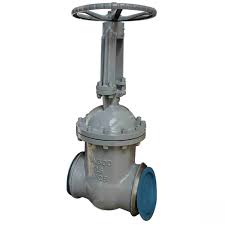 Double Wedge Gate Valve, DN300, PN25, ASTM A216 WCB, RF | Vervo