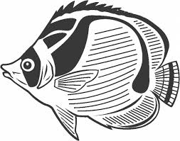 fish coloring pages ile ilgili görsel sonucu