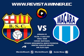 Revista Winner