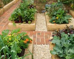 Image of Summer vegetables garden