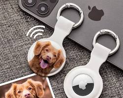 key case with a pet's photo on itの画像