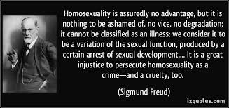 HOMOSEXUALITY QUOTES image quotes at hippoquotes.com via Relatably.com