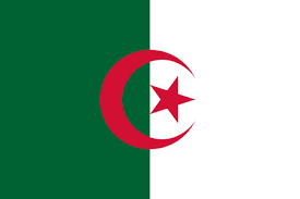 Image result for algeria flag