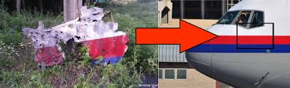 Image result for mh17 wings