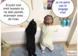 Résultat de recherche d'images pour "chat mignon qui parle"